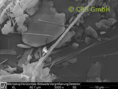 SEM-picture of amphibole asbestos, anthophyllite in plasters, trowlled on materials and paints | © CRB Analyse Service GmbH